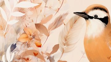 image_94208bfbb6bc52_1_c378fefc5ea83cdd351dd1c3313c82fe.jpeg