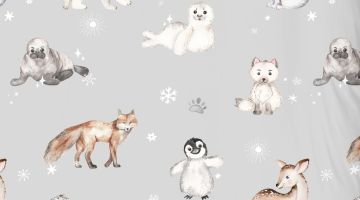 image_4cf46169a0d5f2_1_93de596c00f24b8c00d50d1ce2b6a838.jpeg