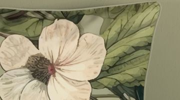 image_3e9a698a18f2e4_1_bddc25af6bf10ee767beff9d0f7d8ed4.jpeg