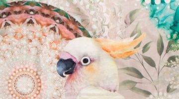 image_d549b5411b192b_1_8cbe87f82b52dae8bc40c26cdeed1a17.jpeg