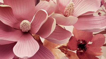image_f9bc41fb90832f_1_6c3ec0aea9621dbfeaaaffd79054234d.jpeg