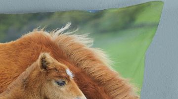 image_71cab296593c42_1_d48883b27b6a37753e60f00a9c592bae.jpeg