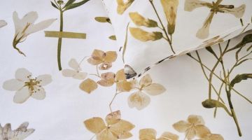 image_7e1fe69680b2d30d64375762e9b071ed.jpeg_cdafe74823d1a0_2