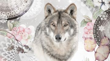 image_cc355699c9fb6e_1_66c3aaee8cb5c3cf1abc4024bbe4e825.jpeg