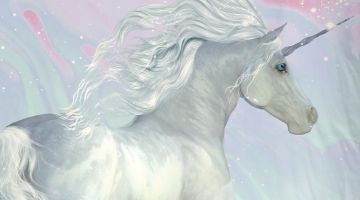 image_e6e33c7bc9bed3_1_aeb0898d5c546c83365fdf6f4e70e587.jpeg