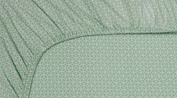 image_75b02bfa67d647_1_d8aee153816410be7068466d93019475.jpeg