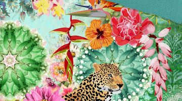 image_4df22b89e95b95_1_de2786905285b8fb29f11507e399ca46.jpeg
