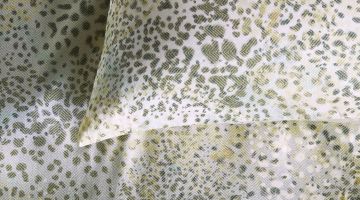 image_b12aeacbbb9a98_1_9af8a976d4ba954d98325816e5f4d521.jpeg