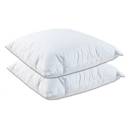 Twee Donskussens Sleepy Delice