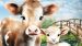 Dekbedovertrek Kids Pure Farm - Multi