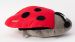 Grote Knuffel Woody Lieveheersbeestje - Rood