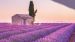 Dekbedovertrek Pure Lavender - Violet