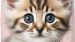 Dekbedovertrek Kids Good Morning Meow - Pink
