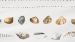 Dekbedovertrek Marjolein Bastin Shellfish - Wit