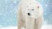 Dekbedovertrek Kids Good Morning Icebear - Blue