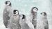 Dekbedovertrek Kids Good Morning Pengu - Blue