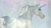 Dekbedovertrek Kids Good Morning Unicorn Dream - Multi