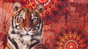 image_75318194023a1b_1_b1451a815c2f62c9458ed0f2f6d7dbc6.jpeg