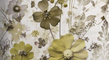 image_38b1987696c5e0_1_8714f9f9427647b60f5dac7eee43b855.jpeg
