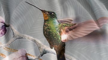 image_76988adc150c7e_1_5dc90157aa17645b7c1d440ce5449a2e.jpeg