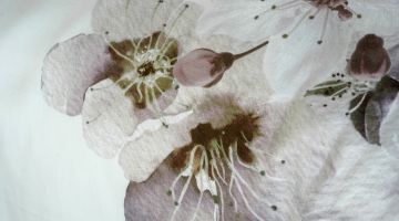 image_f5e1b5139f0b87_1_2593190382c381ff7c9a6c3b624f0e58.jpeg