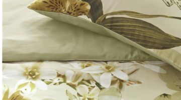 image_3d8d95b896de03_1_27e6aecc359955b1d7f44164b313088b.jpeg