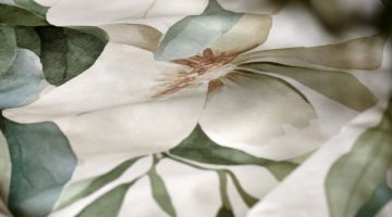 image_83842e74236b08_1_61e3b0c80698bace304eefb1f95d3112.jpeg
