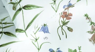 image_1d66bf6141260d_1_4a6a23be10e8886a07d98233cf769658.jpeg