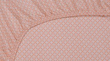 image_ce61e0244a2fc7_1_9f1e1af8bcae92c1133d033a47284d84.jpeg
