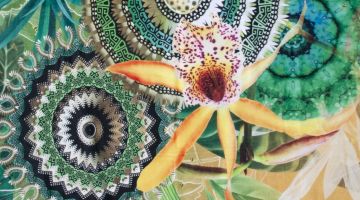 image_752a13d47970ca_1_fd4994eec2cb75889d4e984971f822d9.jpeg
