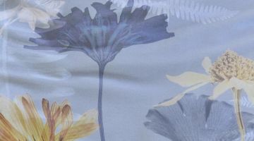 image_48a49742d49efa_1_76d106d17e031bffeb72e15c49a5beb2.jpeg