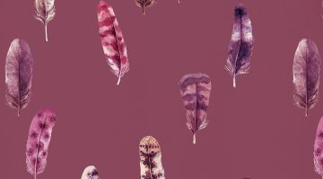 image_4c3d38f9e5e32e_1_f3b64194eb2b7f8aafd483289e0e9779.jpeg