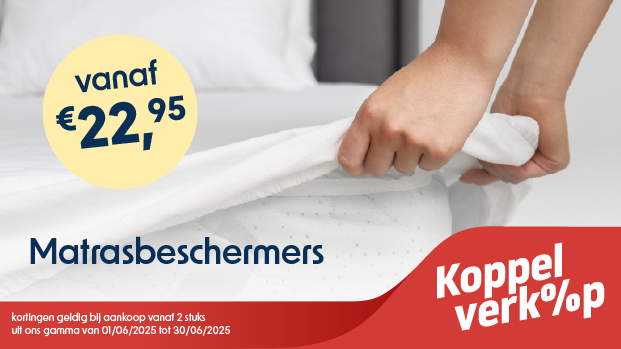 SwissSleep Butterfly kussen