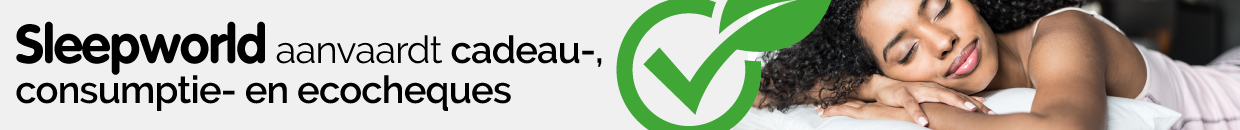 eco cheques banner